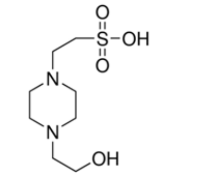 202303271151.png image.png